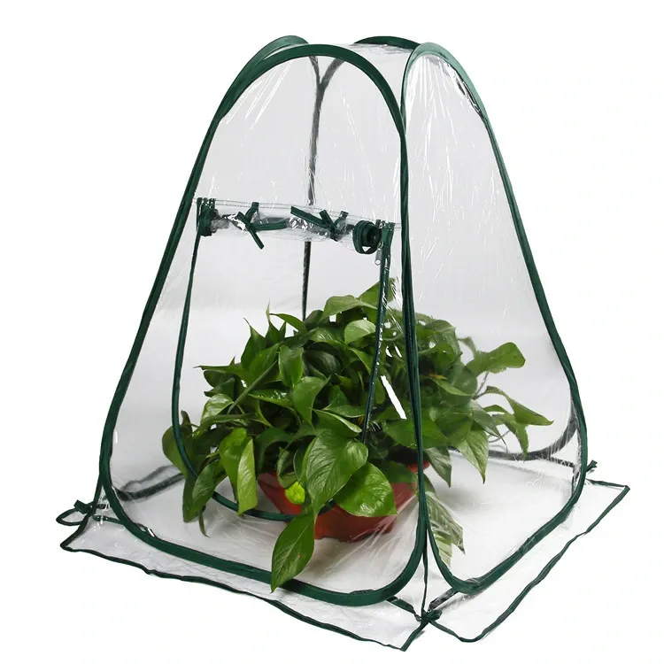 Mini greenhouse with front rolled up; plant and pot not included